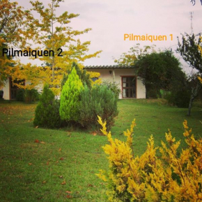 Pilmaiquen